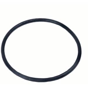 Jain Replacement O-Ring for Spin Clean Filter