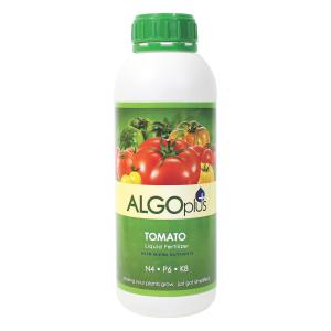 AlgoPlus Tomato