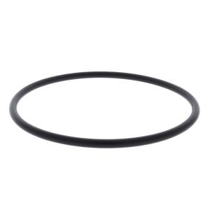 Replacement O-Ring Seal for Amiad 2\" T-Super Filter