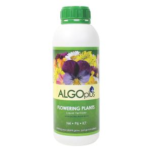 AlgoPlus Flowering Plant