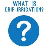 What Is Drip Irrigation