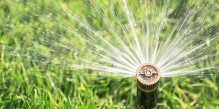 Tips for Choosing the Correct Sprinkler Head : Drip Depot DIY
